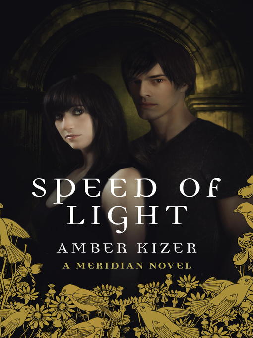 Title details for Speed of Light by Amber Kizer - Wait list